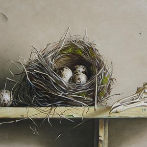 "Nest and skull"